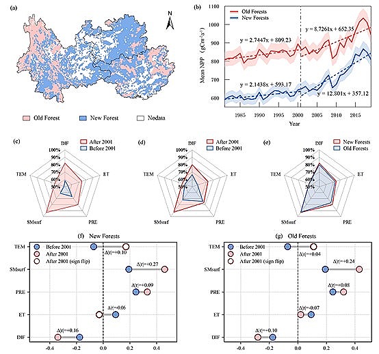我室郑辉副教授课题组在International Journal of App...