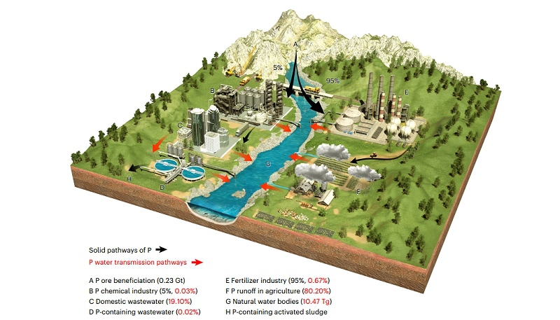 我室傅雯洁副教授课题组在《Nature Water》发表关于微...